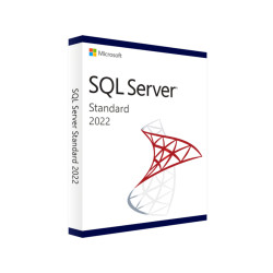 SQL Server 2022 Standard 1 Core Ηλεκτρονική Άδεια